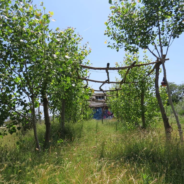 Camping Clandestino Campeggio *
